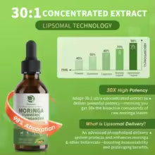 Amber glass Moringa dropper bottle on a green background with information about the concentrated extract and liquid delivery format.